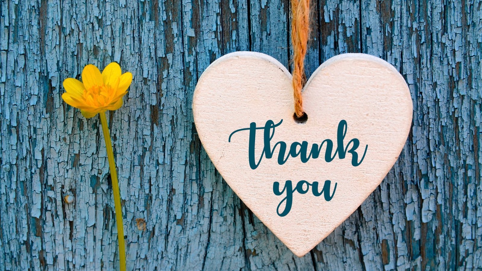 Holzherz mit der Aufschrift «Thank you» und gelbe Blume – Dank zufriedener Kunden